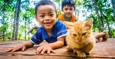 60 Cat Jokes For Kids Will Make Any Grumpy Cat Laugh