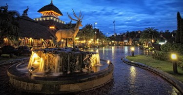Chiang Mai Night Safari