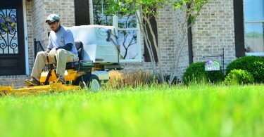 Professional Lawn Services_1