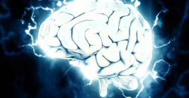 Acute Encephalitis Syndrome