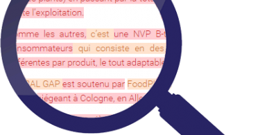 Plagiarism Checker