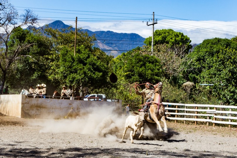 Bull Riding Competition_2