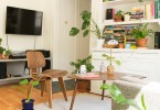 Indoor Plants
