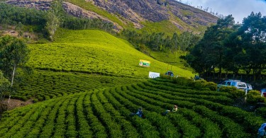 Kerala Holiday Package