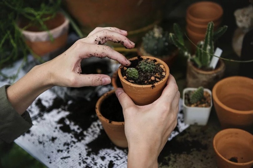 Basic Gardening Tips
