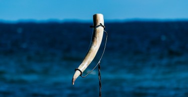 drinking-horn