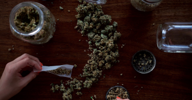 Cannabis Industry