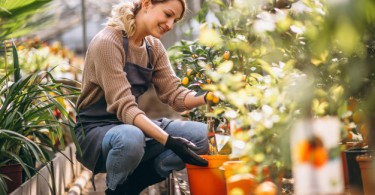 Wellness Garden