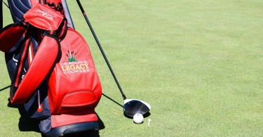Golf Travel Bag