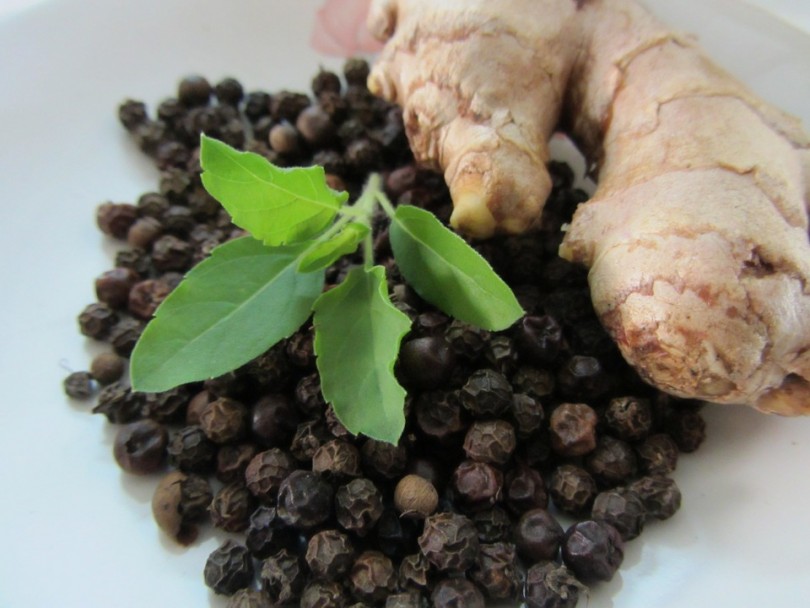 Ayurvedic Medicine