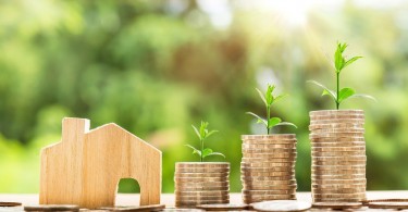 7 Essential Facts About Sips You Should Know In 2020