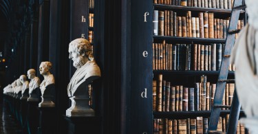 Lawyer Legal Documents Vs Free Generators