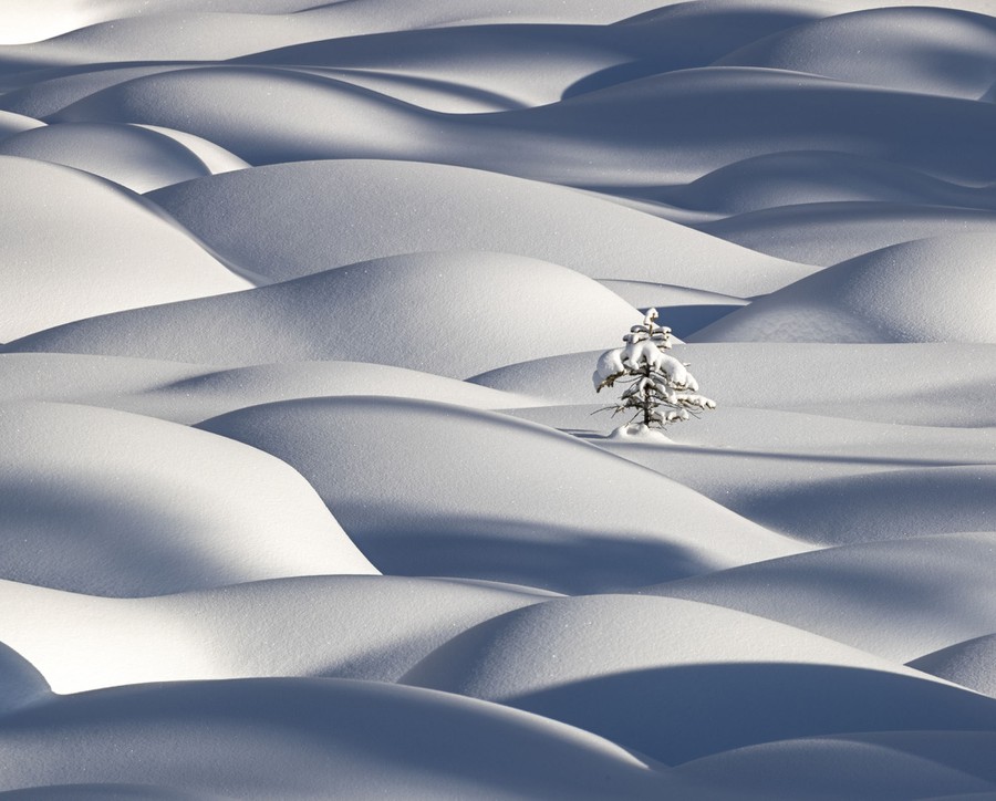 International Landscape Photographer Of The Year 2020