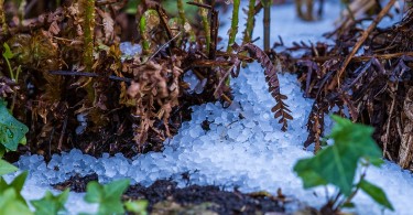 How To Prepare For Storm Season