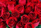 Sign Of Love