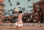 Pigeon Control Program