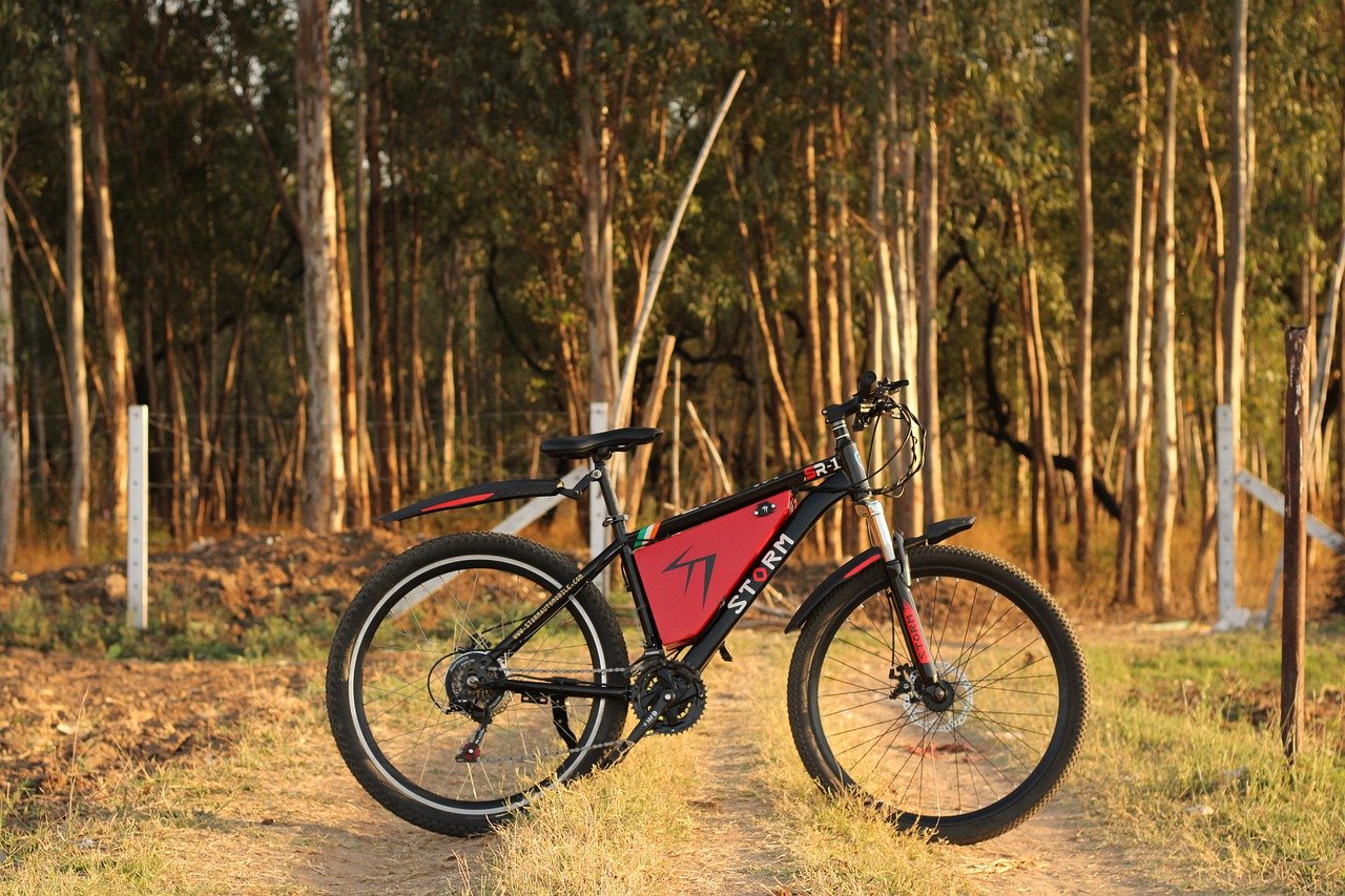 electric bicycle