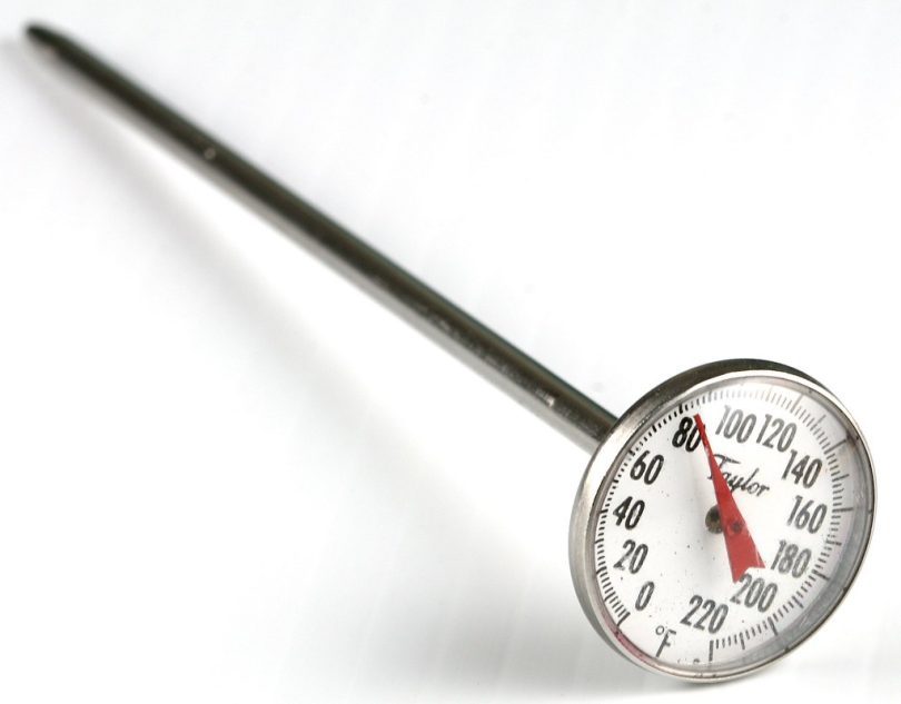 Digital Food Thermometers