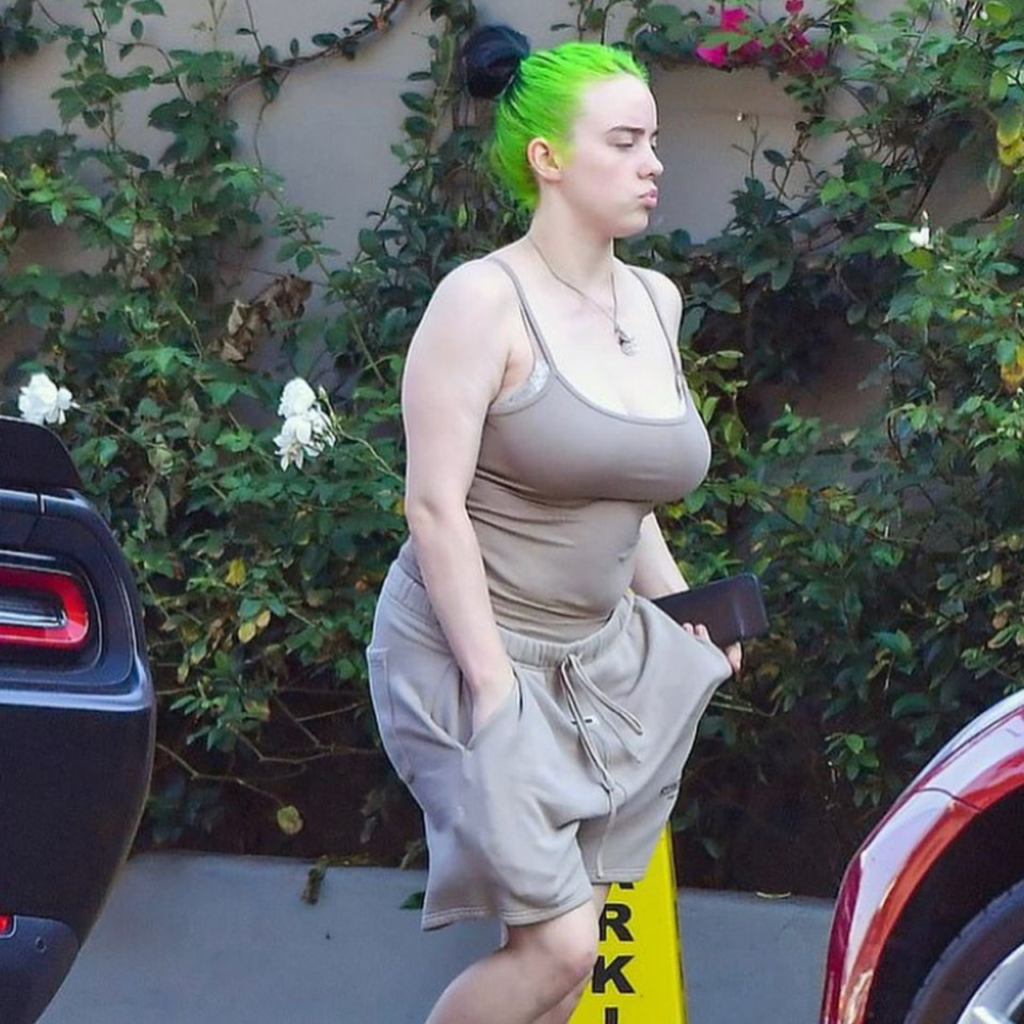 billie eilish sexy: billie eilish boobs