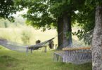 Best Hammocks To Rest