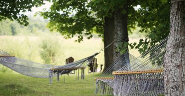 Best Hammocks To Rest