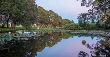 10 Most Beautiful National Parks In Australia To Visit
