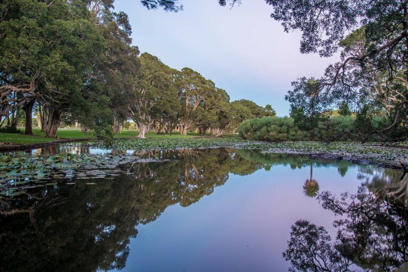 10 Most Beautiful National Parks In Australia To Visit