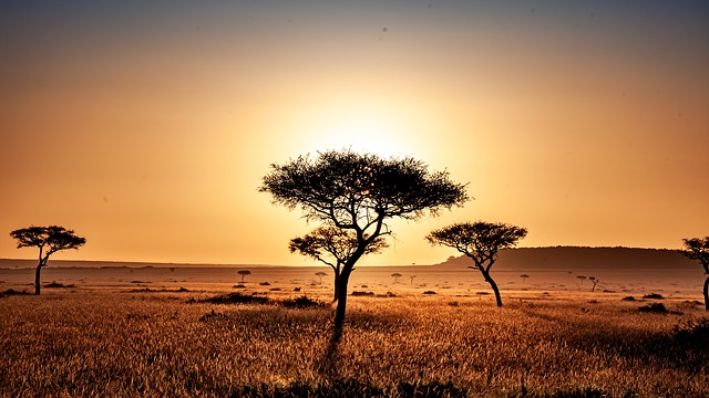 Essential Things To Consider When Planning Any African Safari