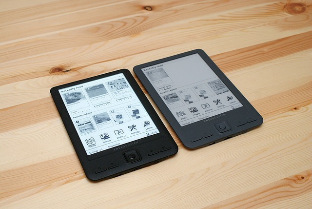 15 Best E-readers To Buy In 2022 For 'Deep-Reading'