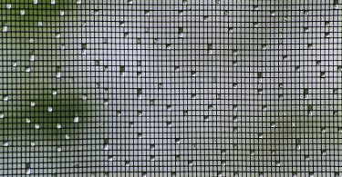 Insect Screen