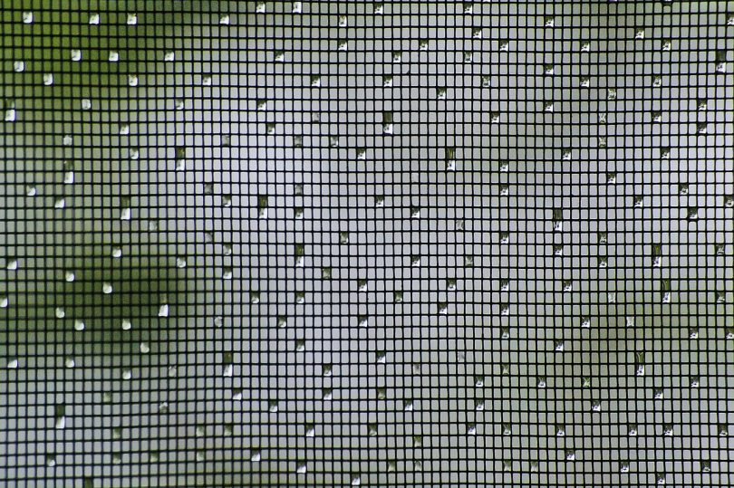 Insect Screen