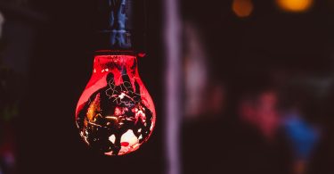 Relationship Between Crime And Intelligence