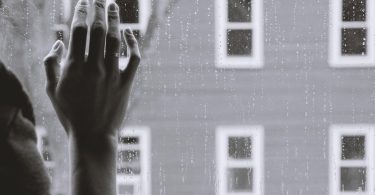 Window Fly Screens