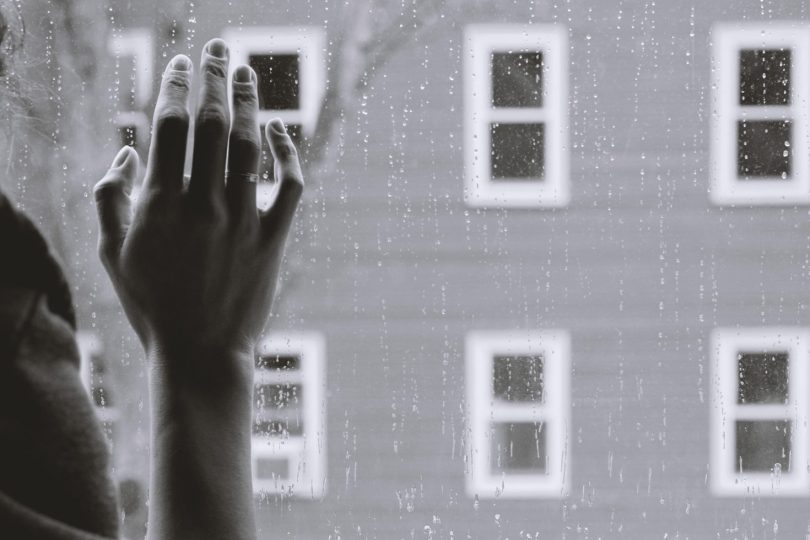 Window Fly Screens