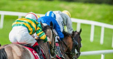Danny Mullins a dark horse