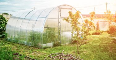 Greenhouse from swgreenhouses