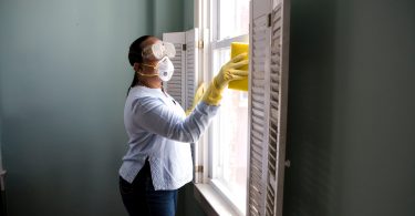 Pest Inspection