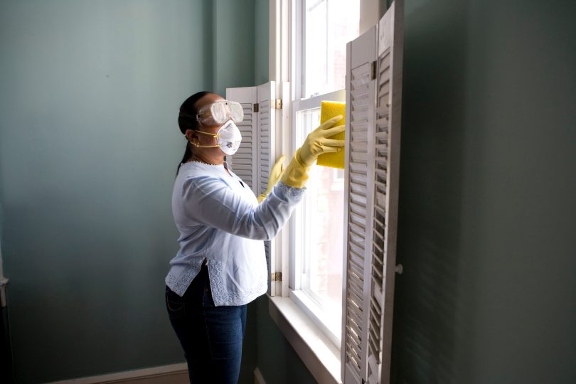 Pest Inspection