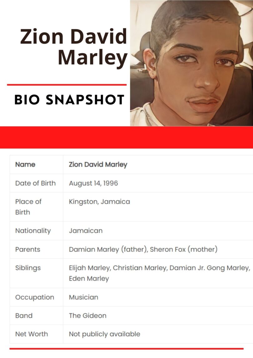 Zion David Marley Net Worth, Age, Family, Biography And Career