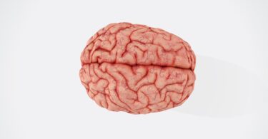 Brain Injury Lawyer In Fort Wayne