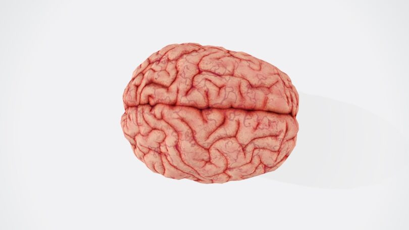 Brain Injury Lawyer In Fort Wayne