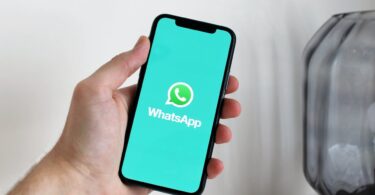 WhatsApp Alternate Profile feature