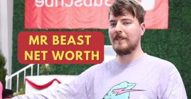 Mr Beast Net Worth